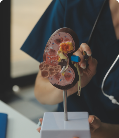 Tumor Ablation for liver, kidney and lung
