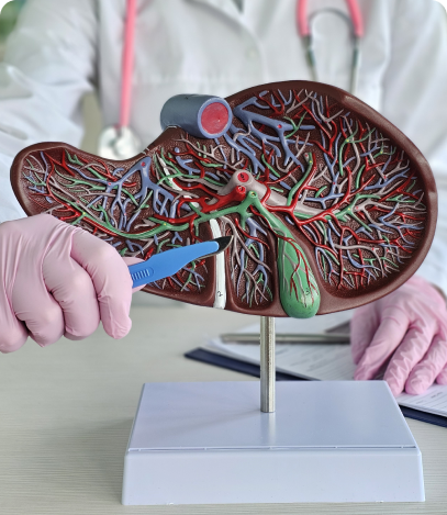 Nephrostomy
