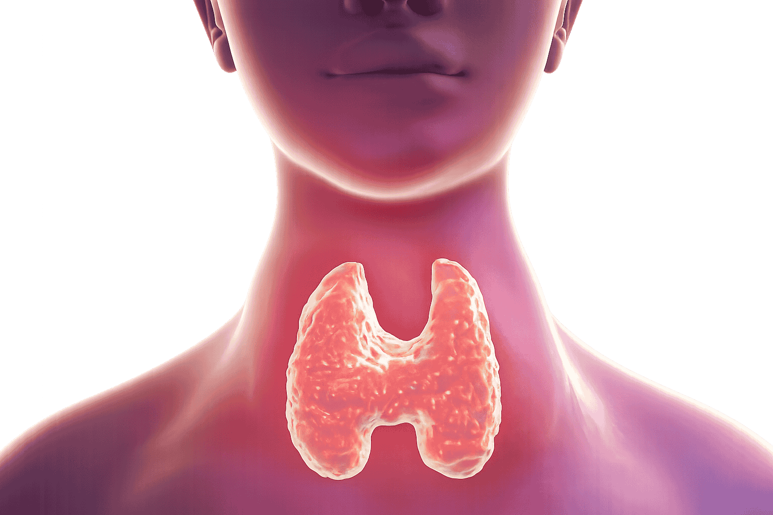 Thyroid Nodule Management